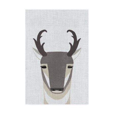 Annie Bailey Art 'Pronghorn Antelope' Canvas Art,30x47